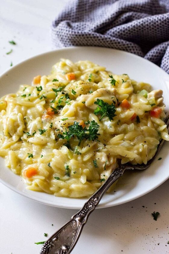 Creamy Chicken Orzo Recipe Dairy Free Lil Luna 8967