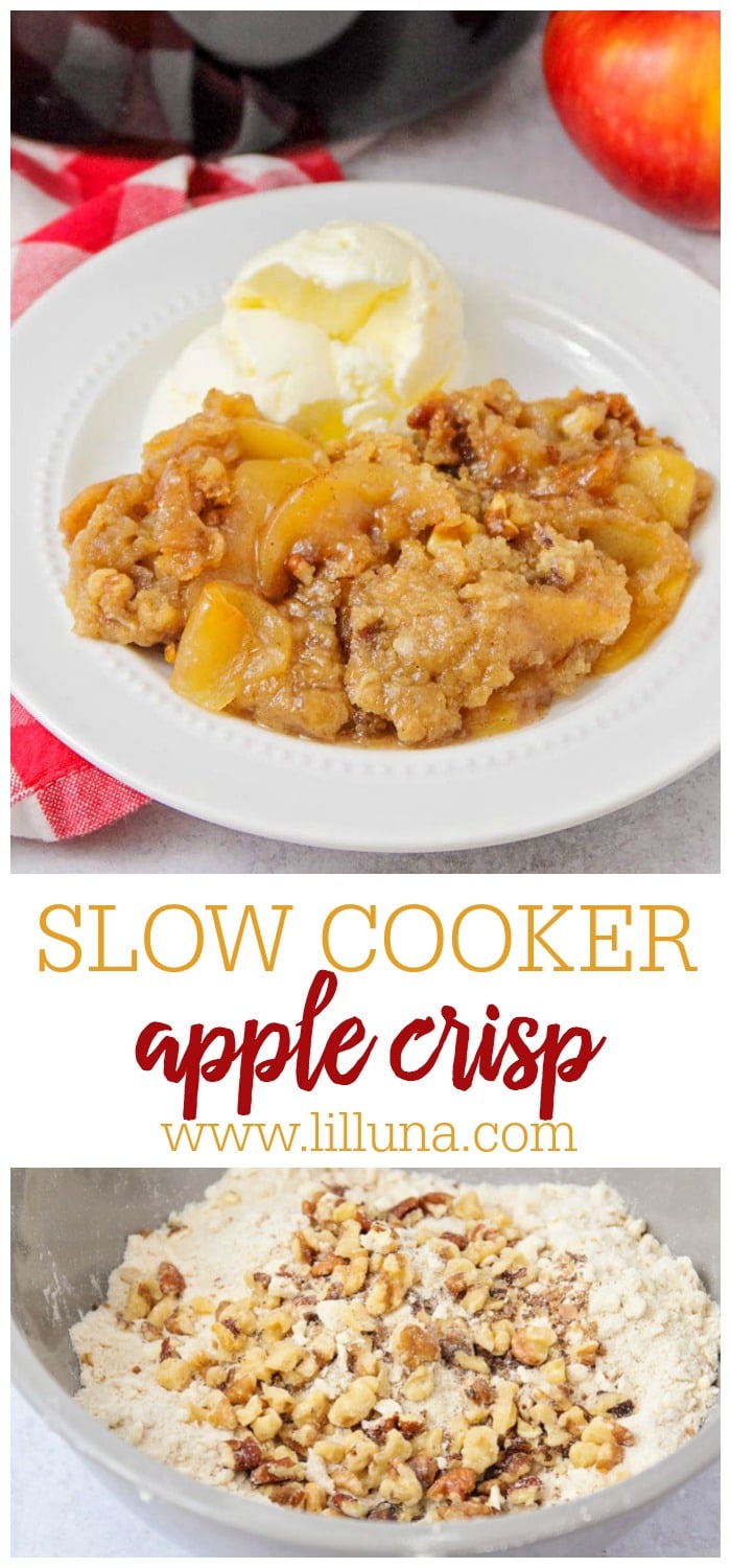 Slow Cooker Apple Crisp Recipe | Lil' Luna