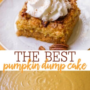 Best Pumpkin Dump Cake Recipe (+VIDEO) | Lil' Luna