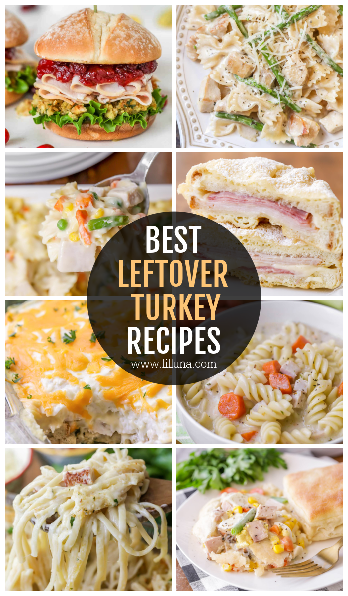 25+ Leftover Turkey Recipes | Lil’ Luna