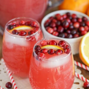 Whipped Pink Lemonade Recipe  Kid Friendly Summer Drink - {Not Quite}  Susie Homemaker