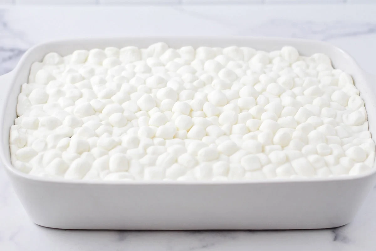 Baked mini marshmallows on chocolate cake.