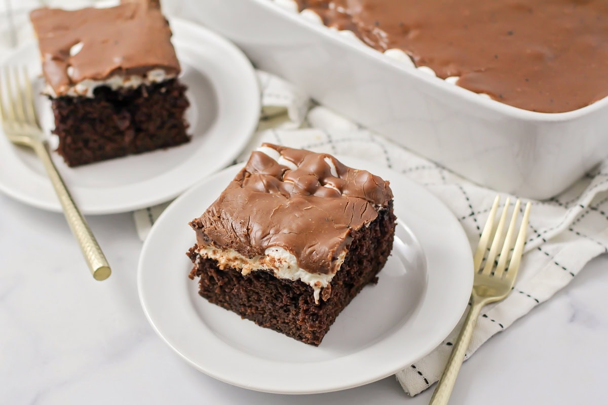 A slice of Mississippi mud cake on a white plate.