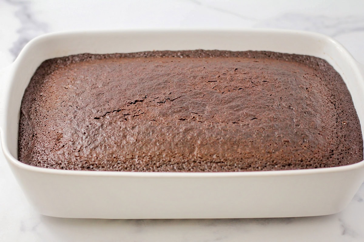 A baked chocolate cake.