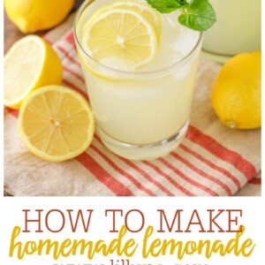 The BEST Homemade Lemonade Recipe | Lil' Luna
