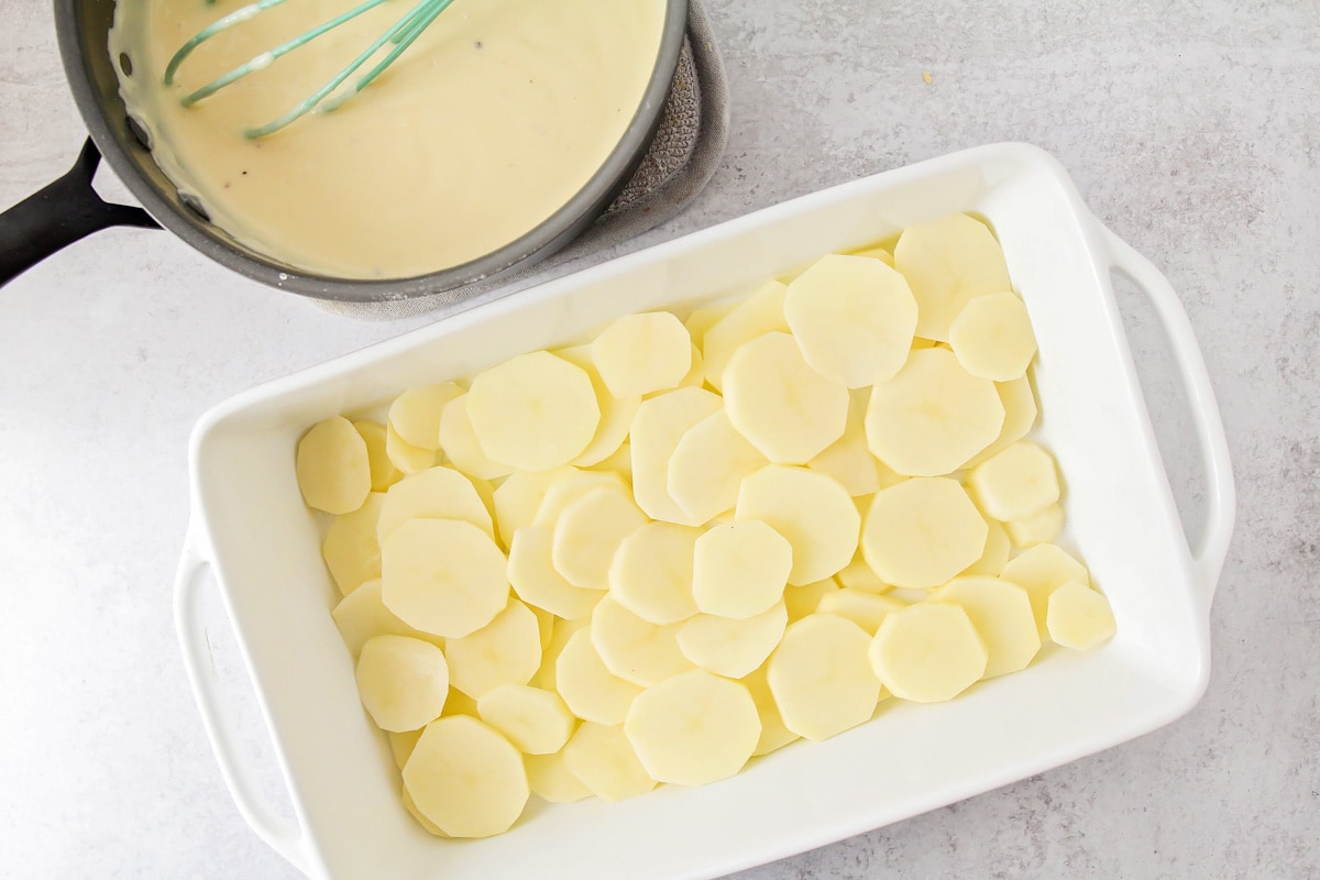 How to make scalloped potatoes by layering potato rounds in a pan