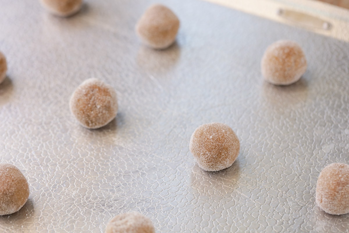 Ginger molasses cookie balls dipped in sugar on a baking sheet