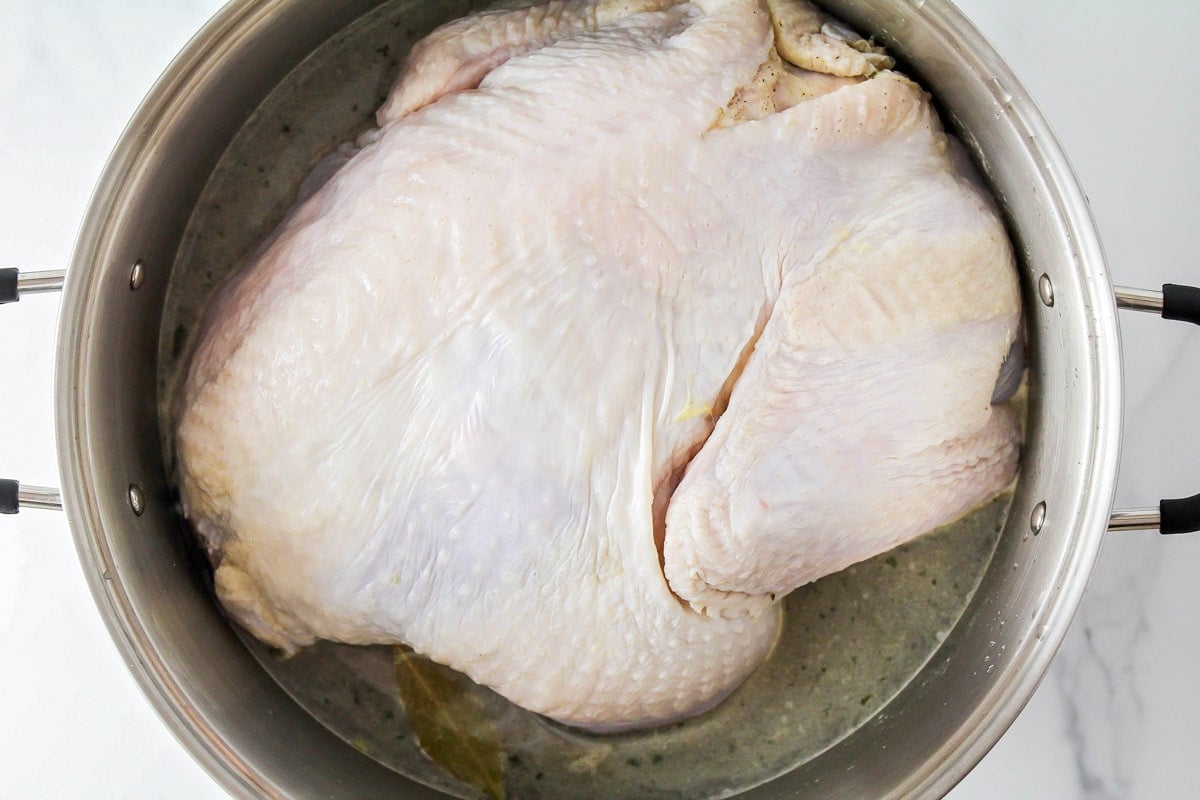 Raw whole turkey in a stock pot with brining liquid