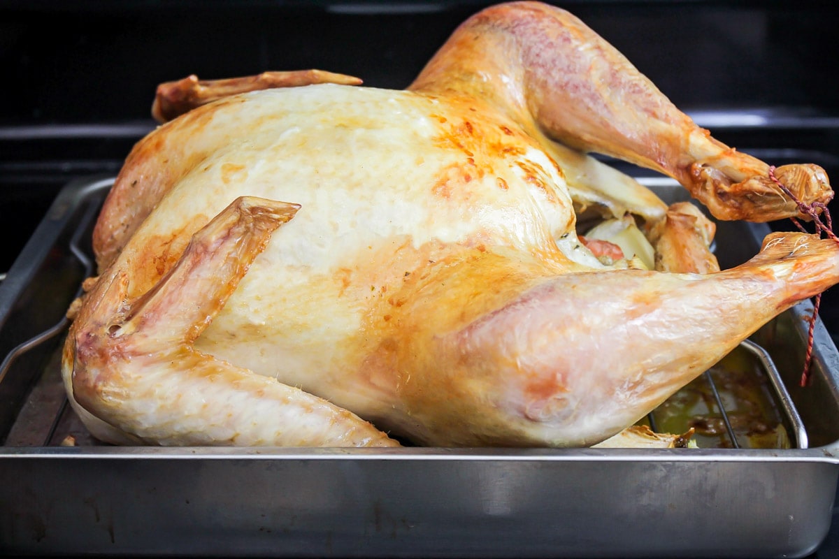 Roasted Turkey in a roasting pan before glaze applied