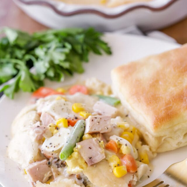 300+ Easy Dinner Recipes | Lil' Luna