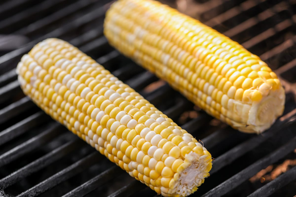 Cooking corn on the cob on the grill grates.