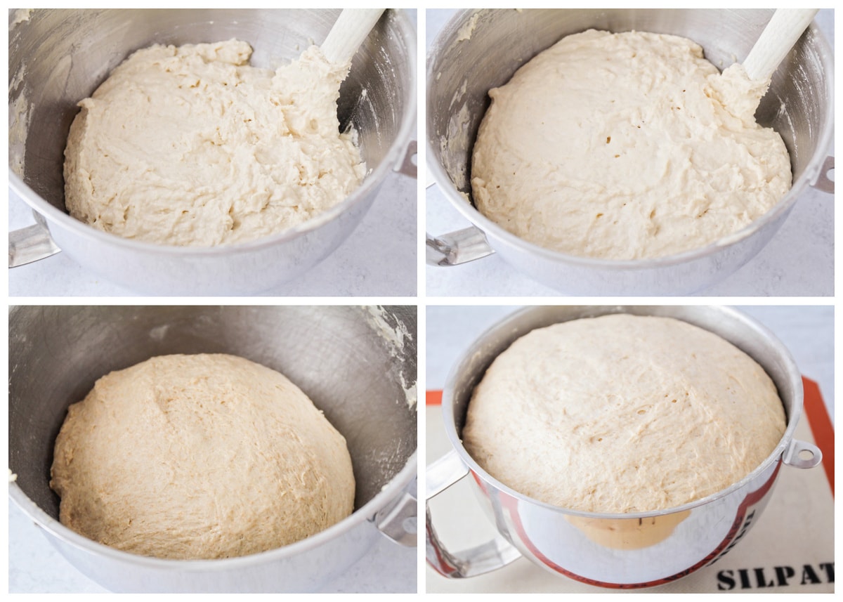 rising dough for whole wheat bread recipe