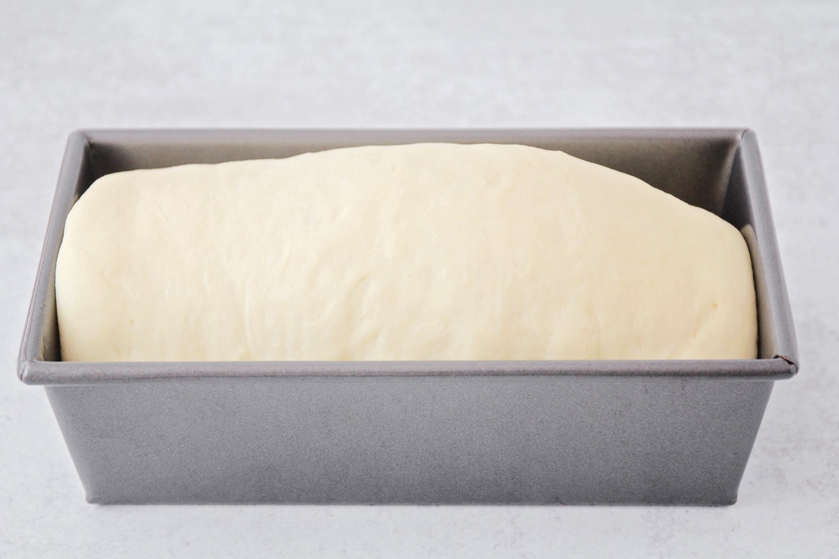 Dough for sandwich bread recipe in a loaf pan