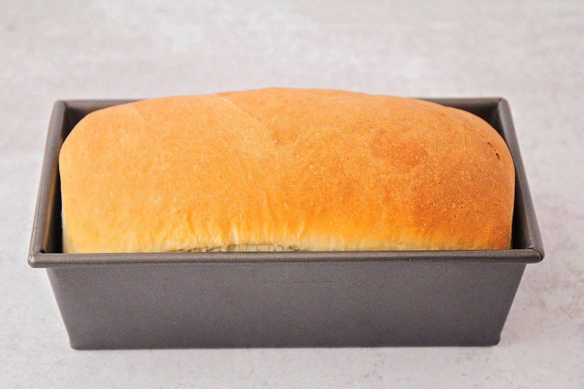 Fresh baked loaf of homemade sandwich bread