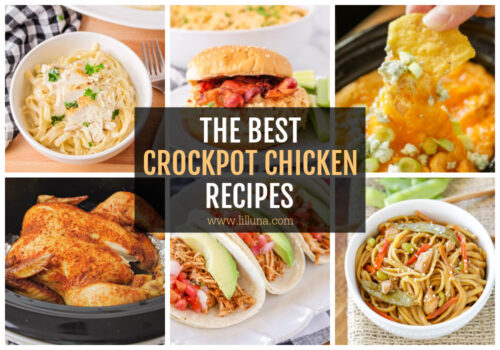 Crockpot Chicken Recipes {25+ BEST} | Lil' Luna