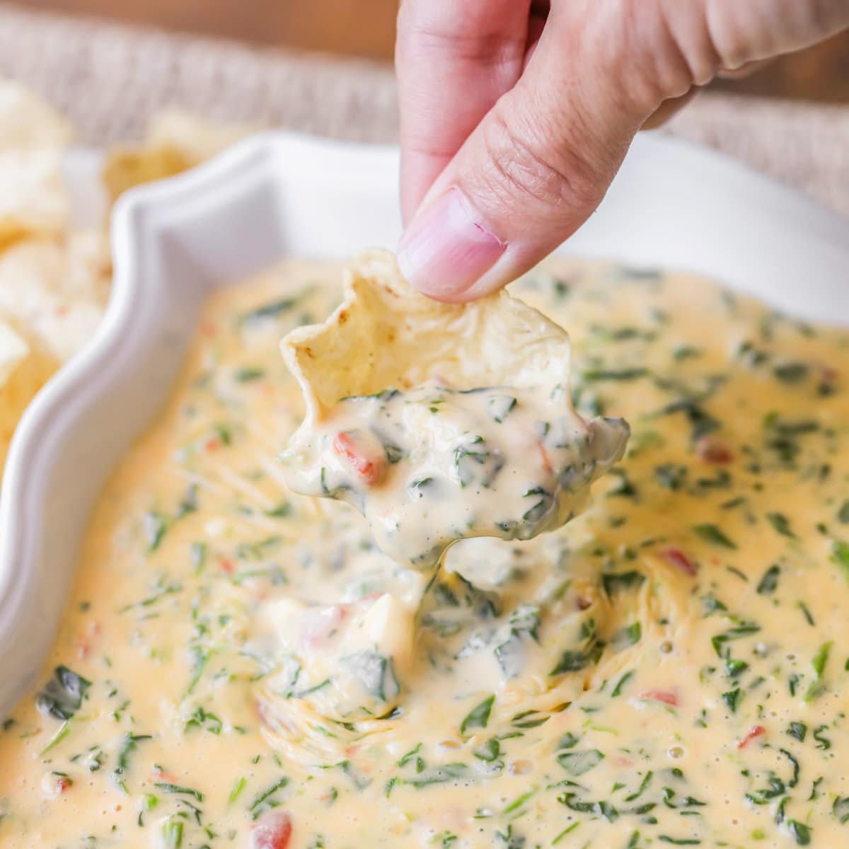 Thanksgiving appetizers - chip dipped into velveeta spinach dip.