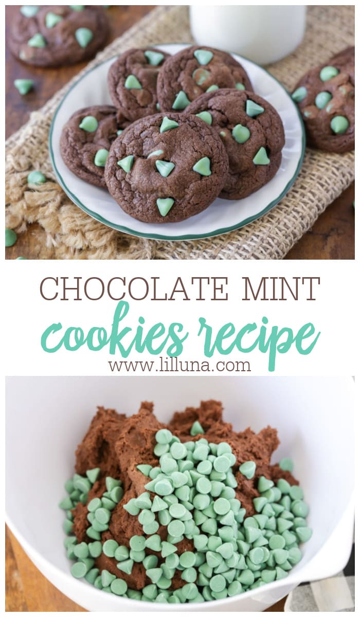 Chocolate Mint Cookies {In 15 Minutes!} Lil' Luna