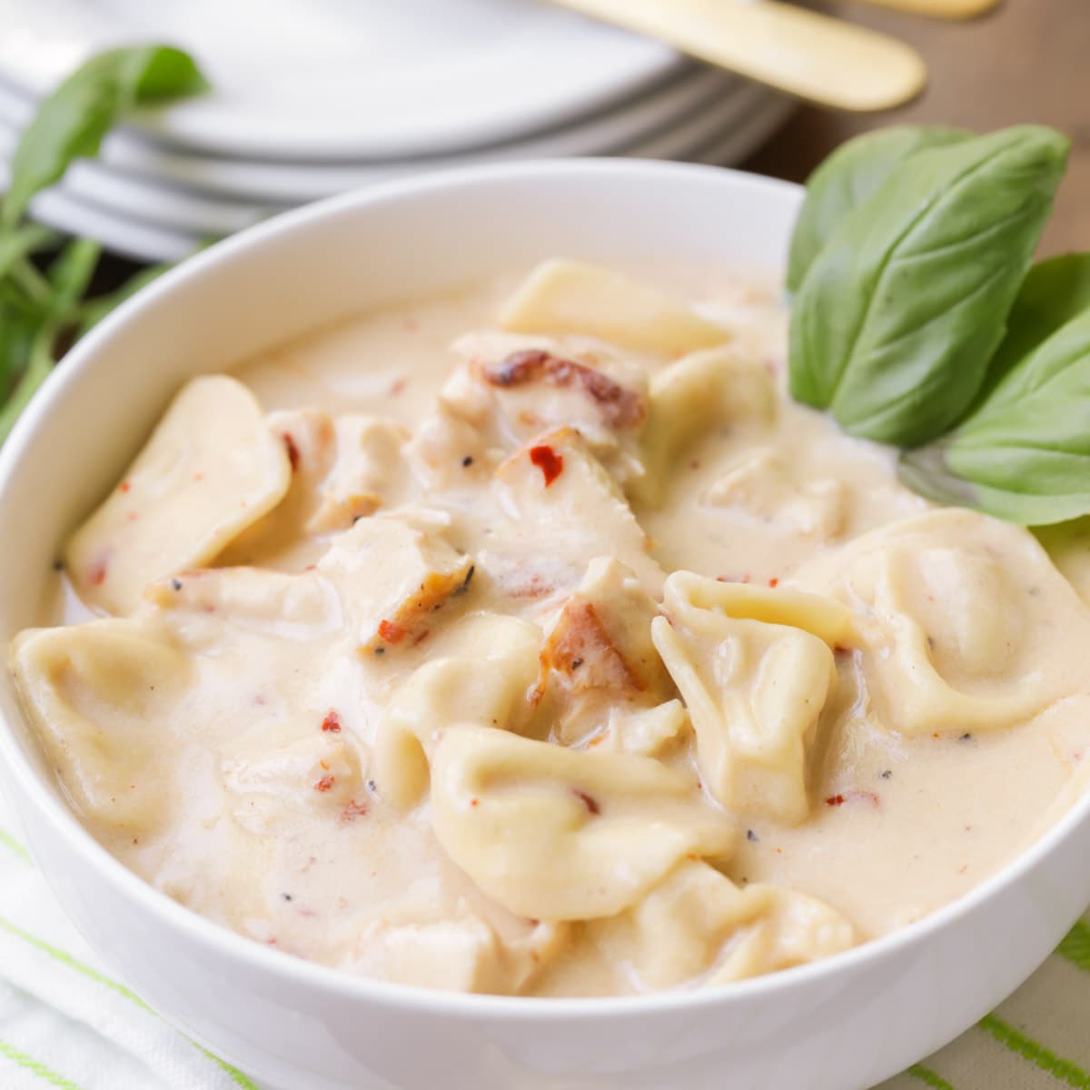 Italian Soups - White bowl of chicken alfredo soup with fresh herbs.