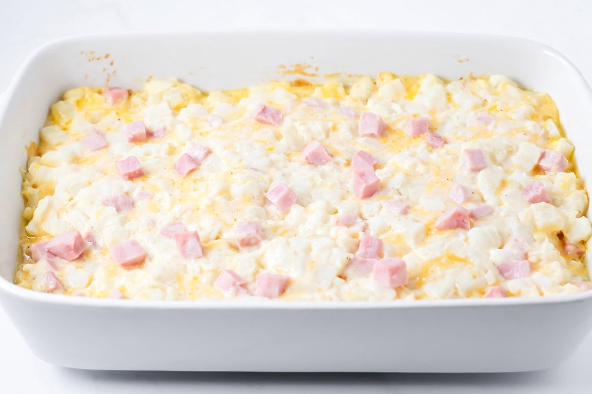 Ham casserole poured into baking dish.