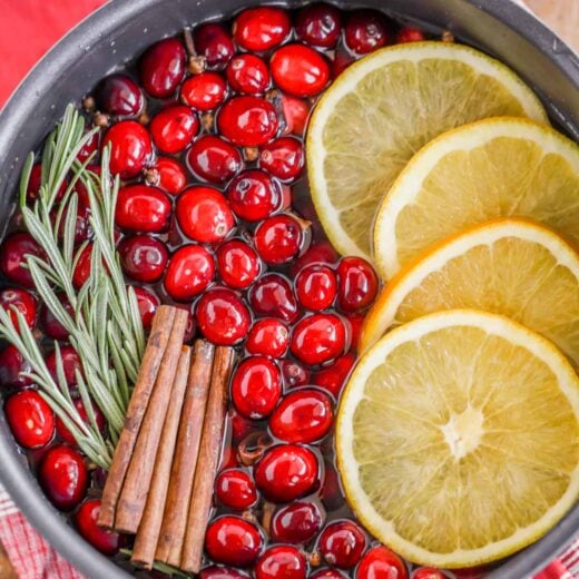 How to Make Stovetop Potpourri {Smells Like Christmas!} | Lil' Luna