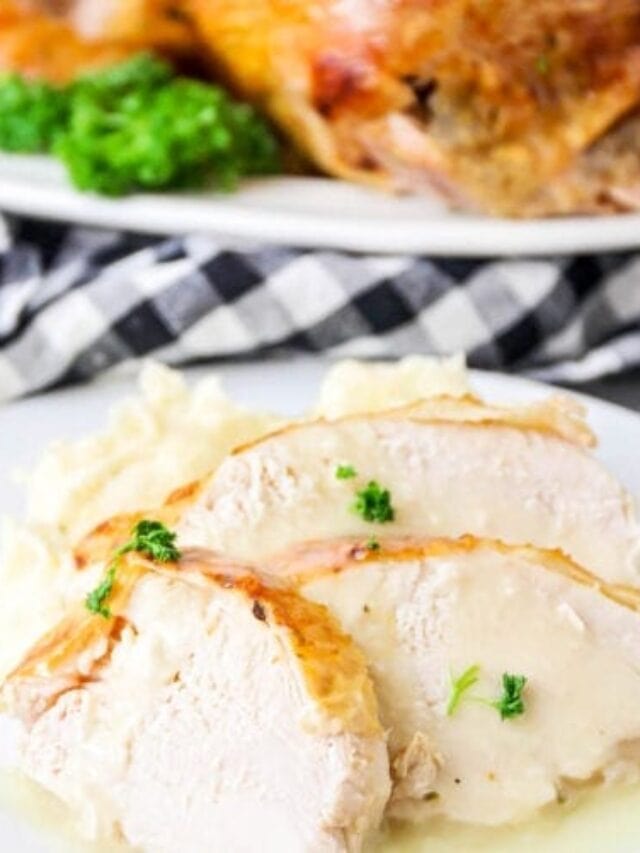 Thanksgiving Dinner Lil' Luna