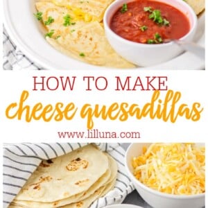 Cheese Quesadilla {Made in Under 10 Minutes!!}