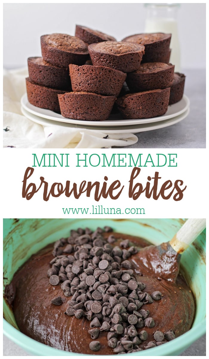 Brownie Bites {Mini, Chewy + Fudgy!} Lil' Luna