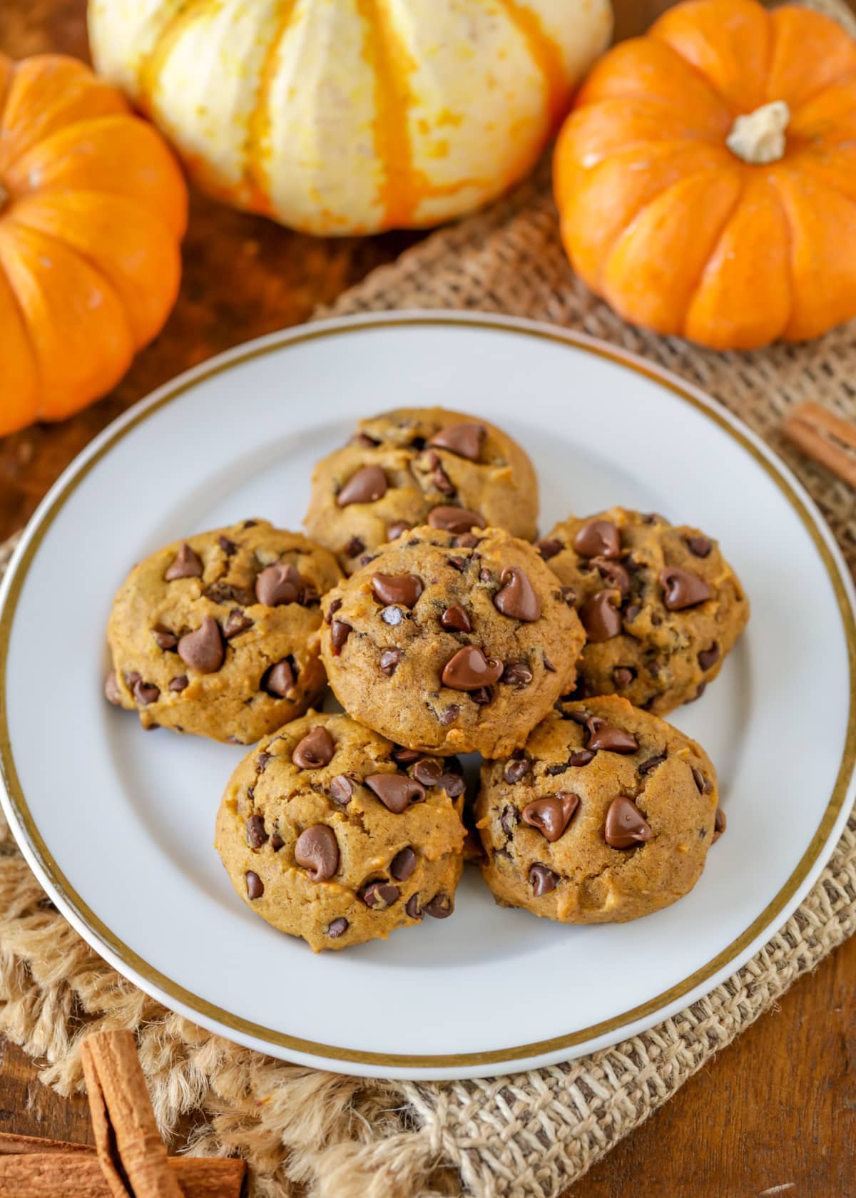 White plate filled with mini pumpkin chocolate chip cookies.