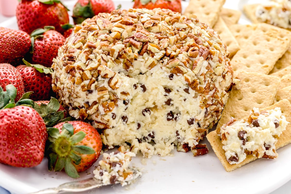 Chocolate Chip Cheese ball with scoop on a graham crackers served on a plate.