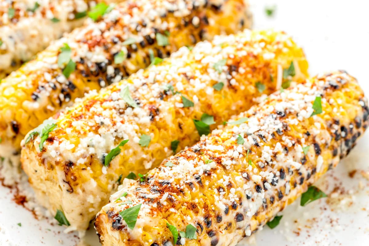 Close up image of Mexican corn on the cob with cotija, spices and cilantro sprinkled on top.