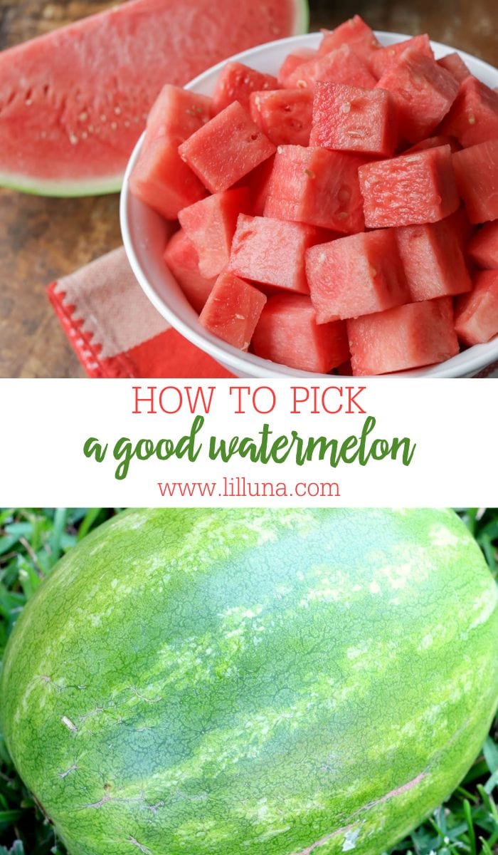 How to Pick a Good Watermelon {Tips + Tricks!} | Lil' Luna