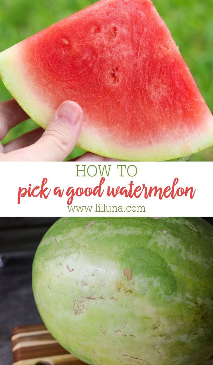 How to Pick a Good Watermelon {Tips + Tricks!} | Lil' Luna