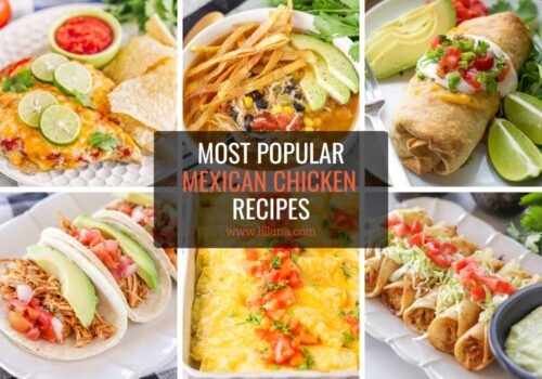 BEST Mexican Chicken Recipes {Entrees, Apps, + Soup} | Lil' Luna