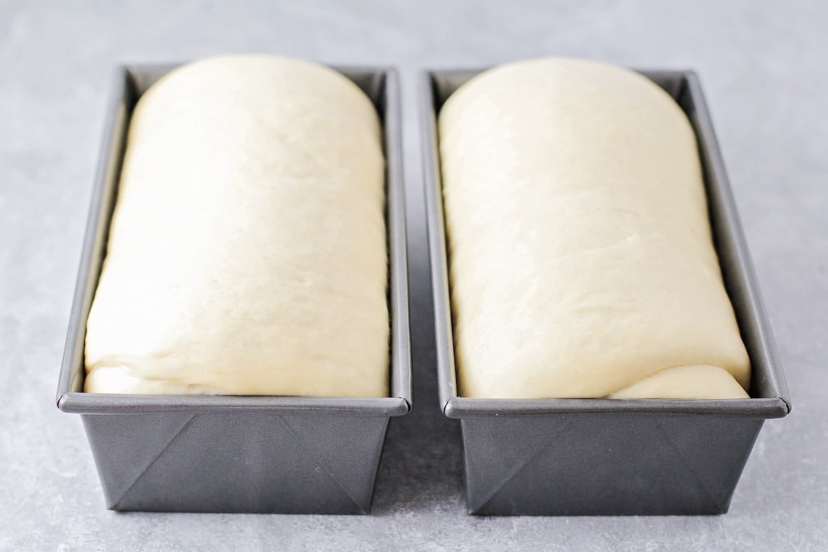 Two loaves of white bread in baking pans ready to bake.