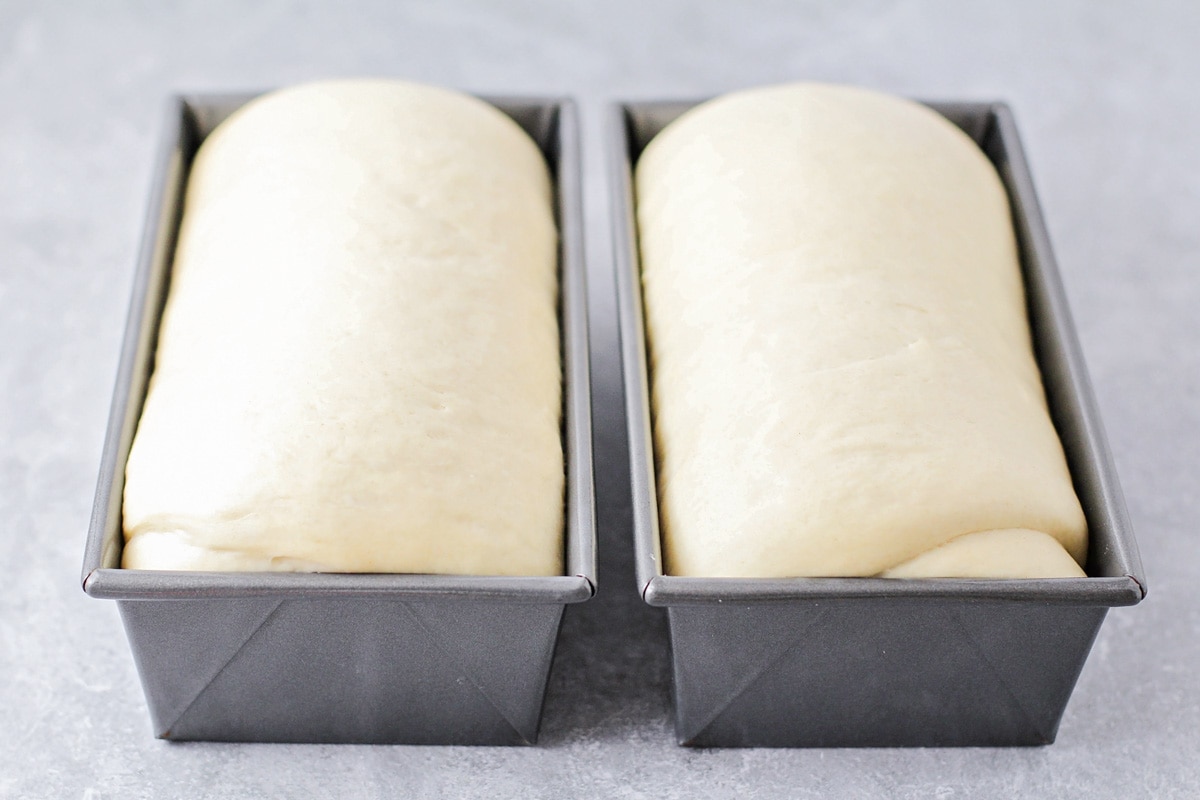 Two loaves of bread in baking pans ready to bake.