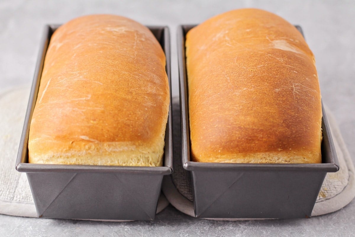 Two loaves of bread in metal baking pans side by side.