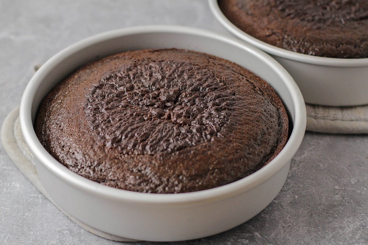 Baked chocolate cake in cake pan.