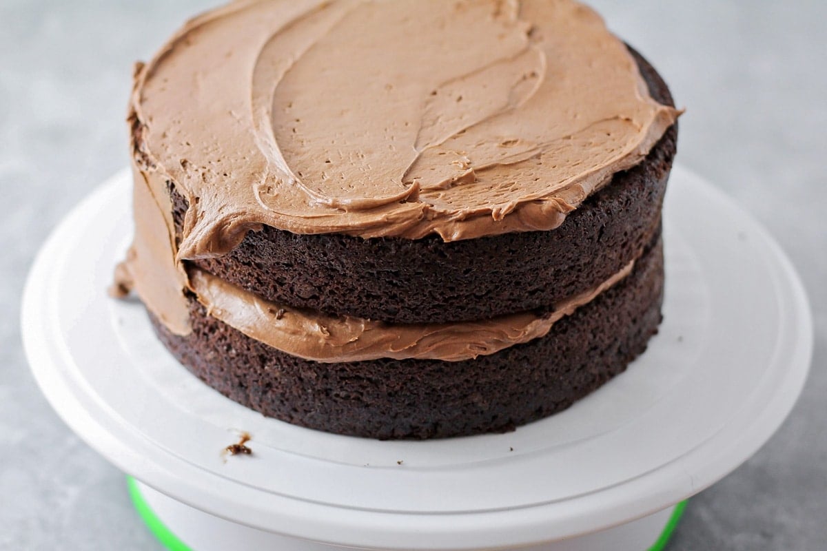 Layered chocolate spider cake on stand.