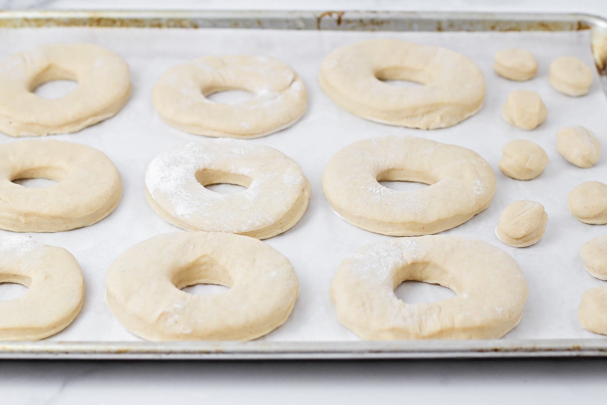 Cut donuts ready for baking.