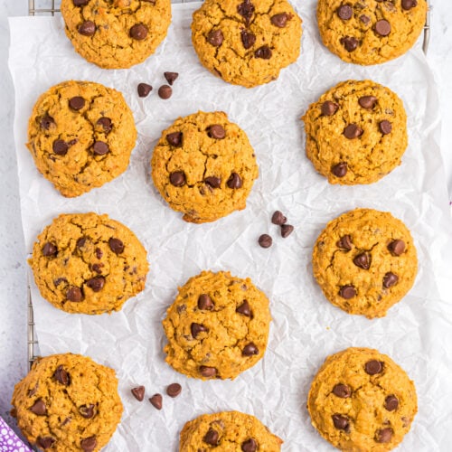 Pumpkin Oatmeal Chocolate Chip Cookies {Soft + Chewy} Lil' Luna