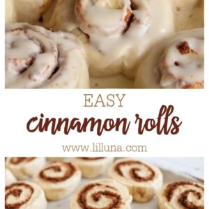 Quick + Easy Cinnamon Rolls {+VIDEO} | Lil' Luna