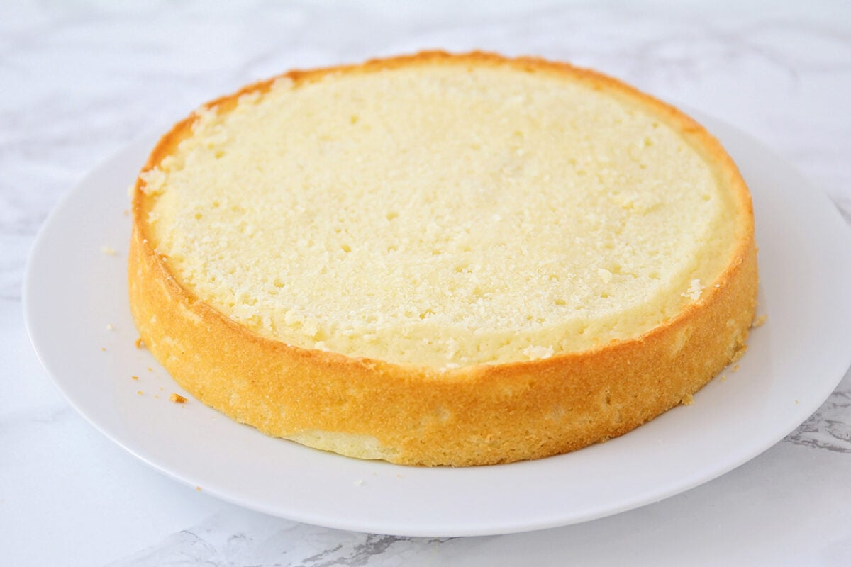 Old-fashioned Boston cream pie is a best-loved classic cake, not pie, that is utterly decadent and delicious! Cake round trimmed and prepped on a white plate.
