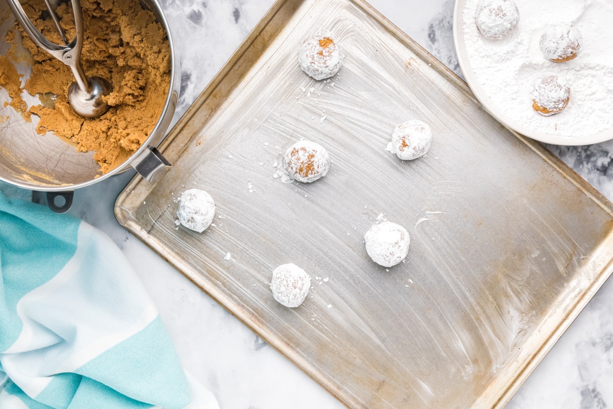 Scooping and coating molasses crinkle cookies.