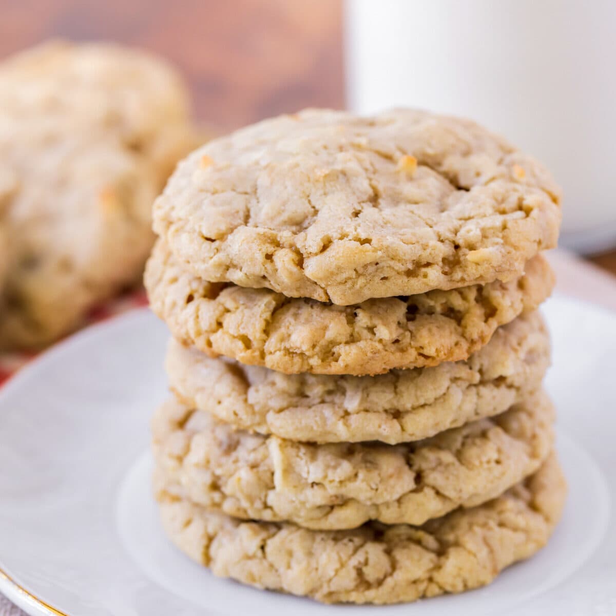 EASY Oatmeal Coconut Cookies {+VIDEO} | Lil' Luna