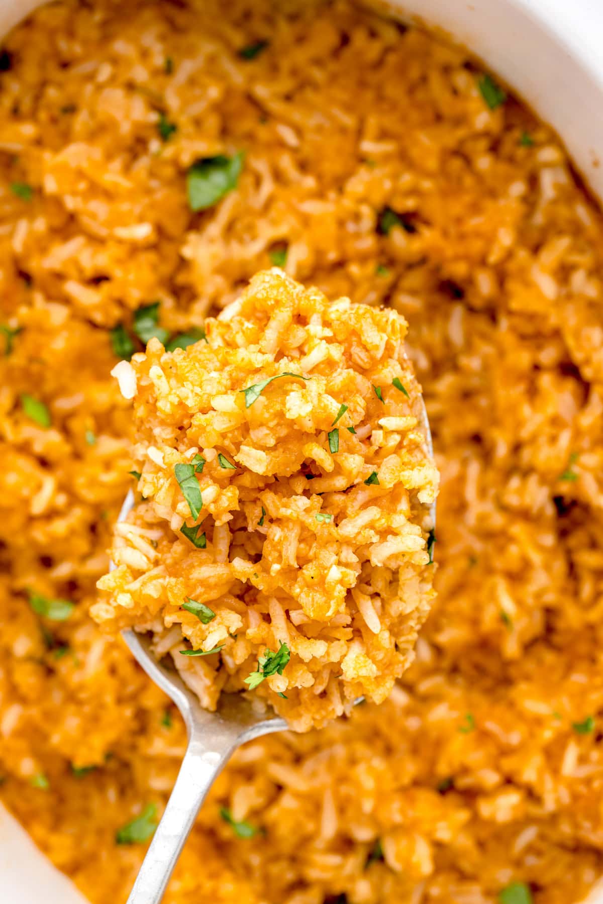 A spoonful of crockpot spanish rice with cilantro on top.