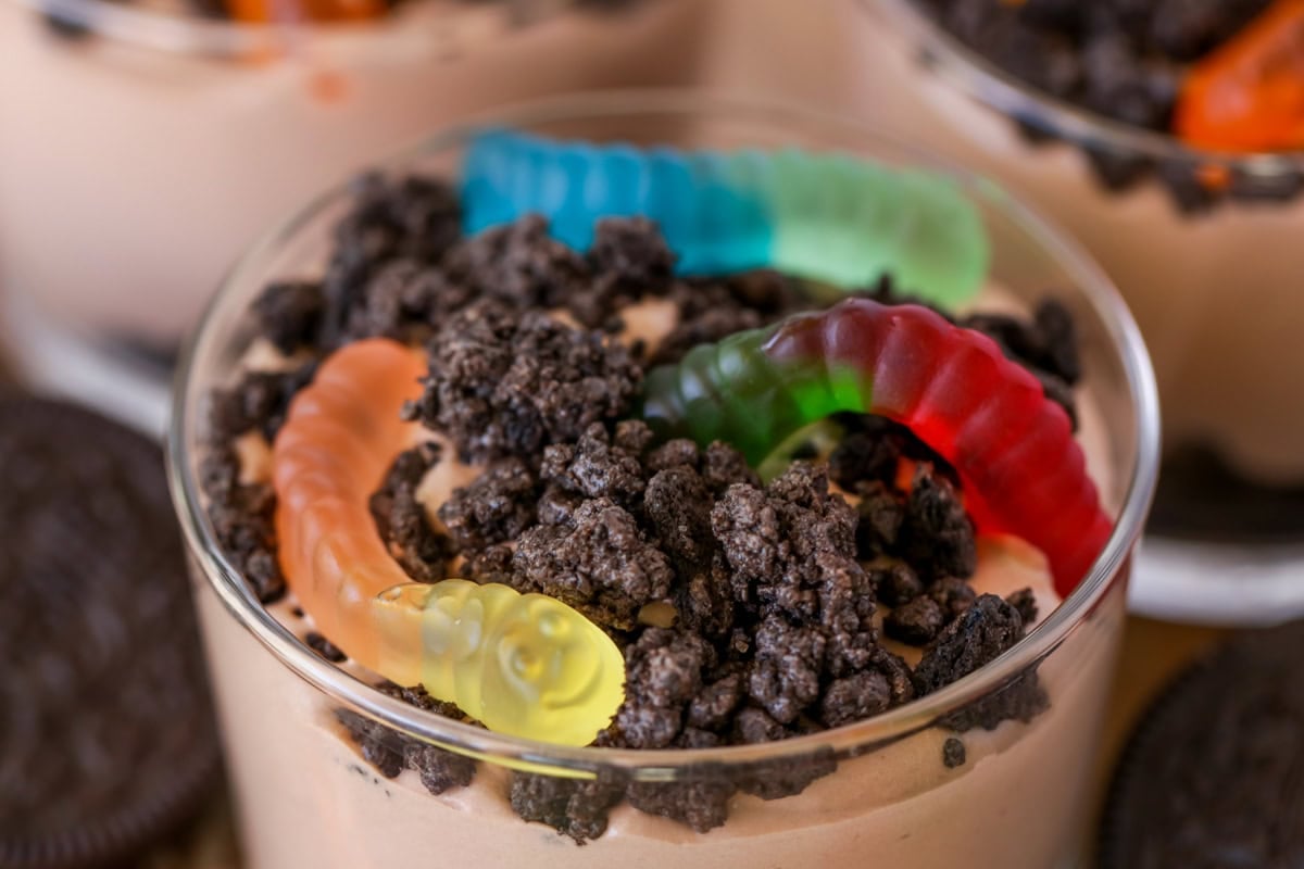 Worms on top of dirt and worms recipe.