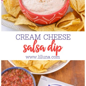 Cream Cheese Salsa Dip {Just 2 Ingredients!}