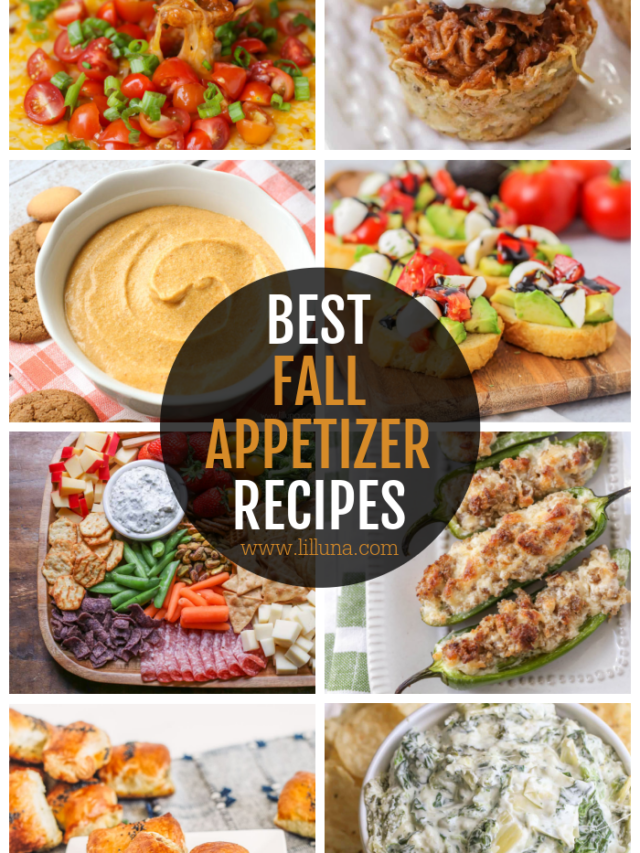 222+ Appetizers For Your Next Get Together! | Lil' Luna