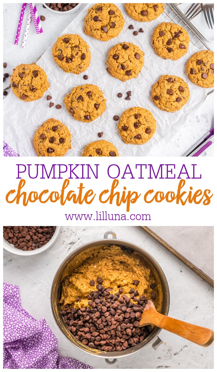 Pumpkin Oatmeal Chocolate Chip Cookies {Soft + Chewy} Lil' Luna