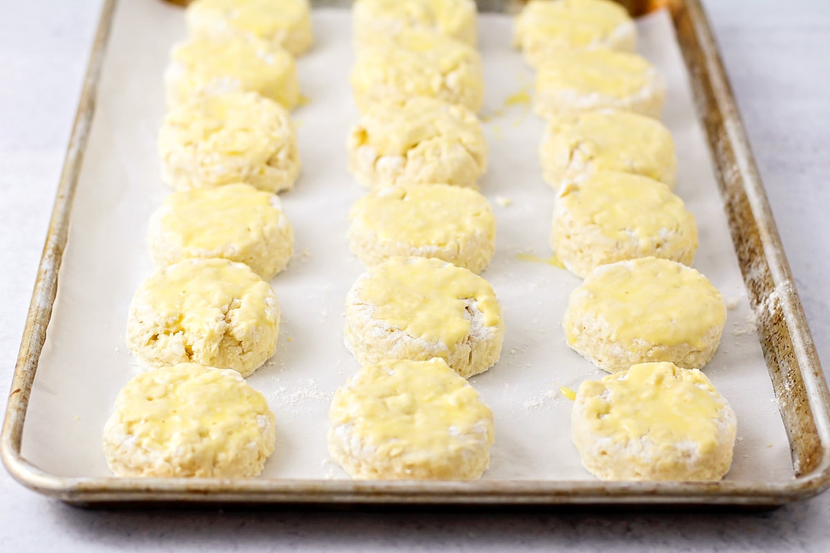 Biscuits brushed with melted butter and lined up on a baking sheet.